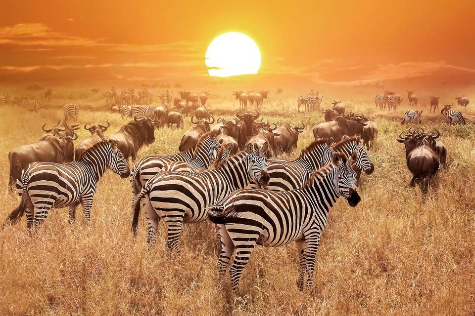 Voyages de noces Tanzanie