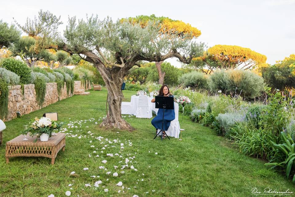 Proposal Saint Tropez