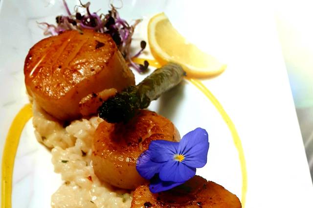 Saint-Jacques sur risotto