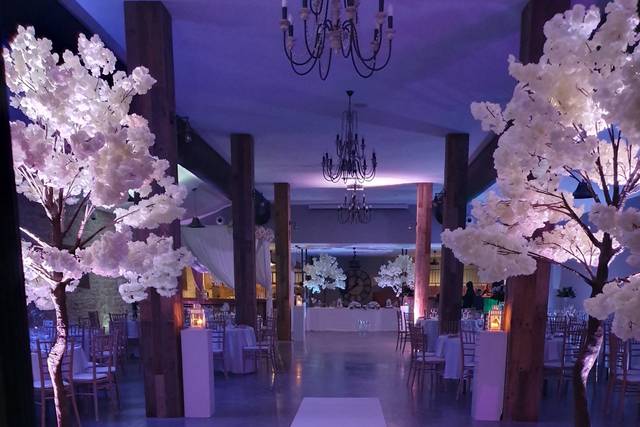 Décoration de salle
