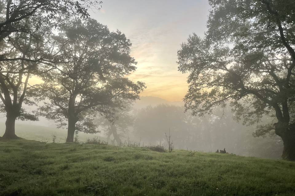 Une campagne paisible