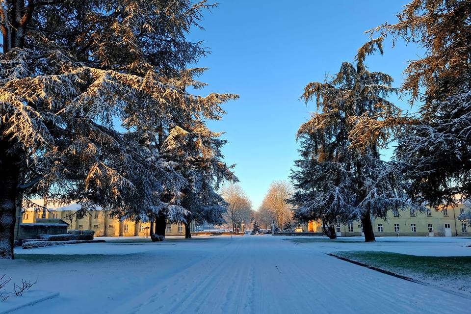 Domaine sous la neige