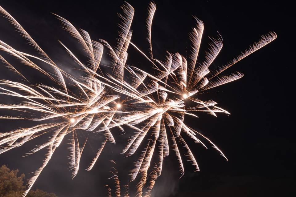 Feux d'artifice Foire