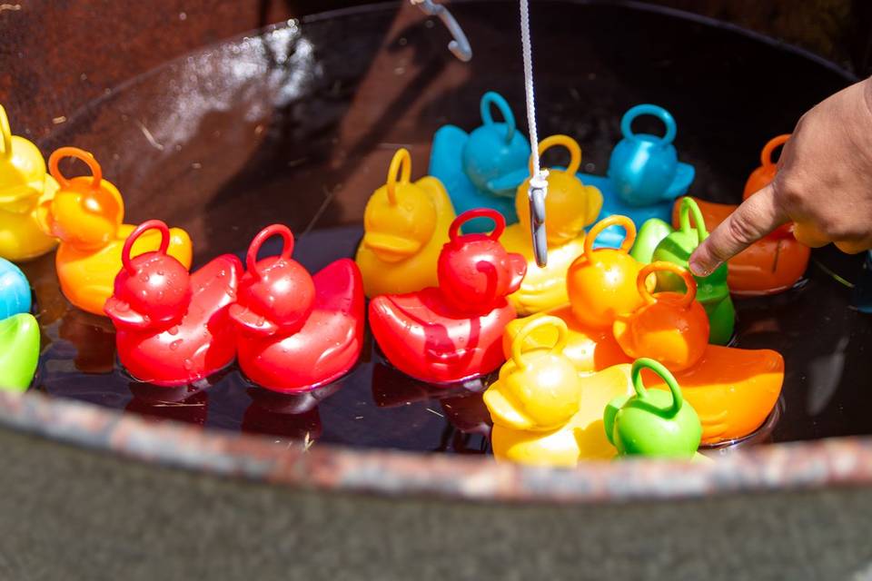 La pêche au canard