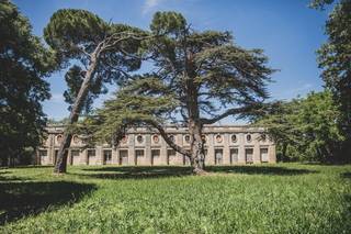 Château du Domaine du Bosc