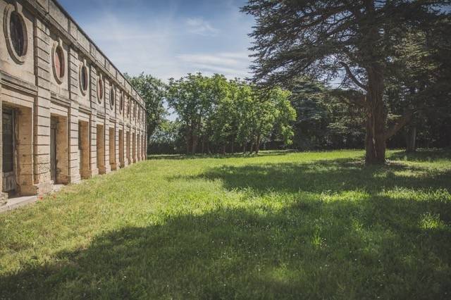 Château du Domaine du Bosc