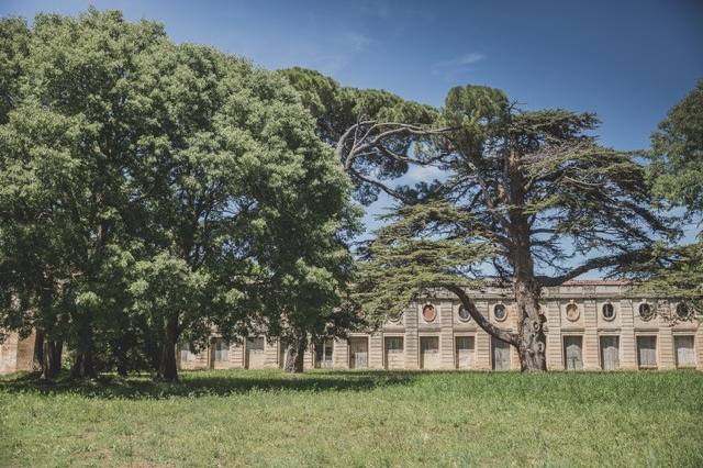 Château du Domaine du Bosc