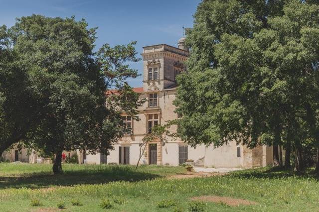 Château du Domaine du Bosc