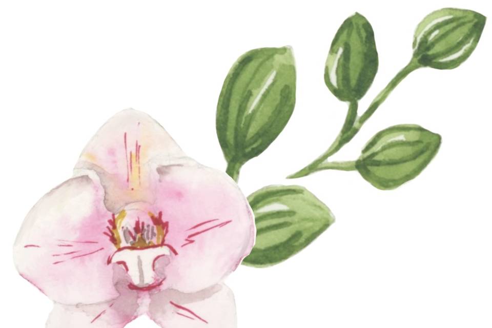 Aquarelle de faire part