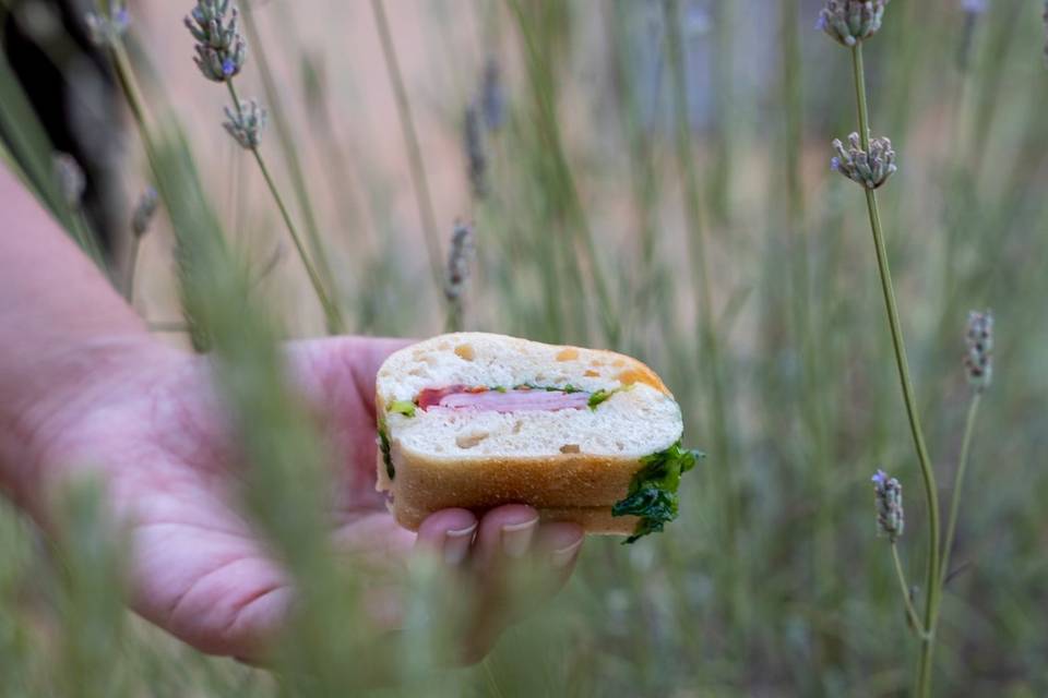 Sandwich ciabatta