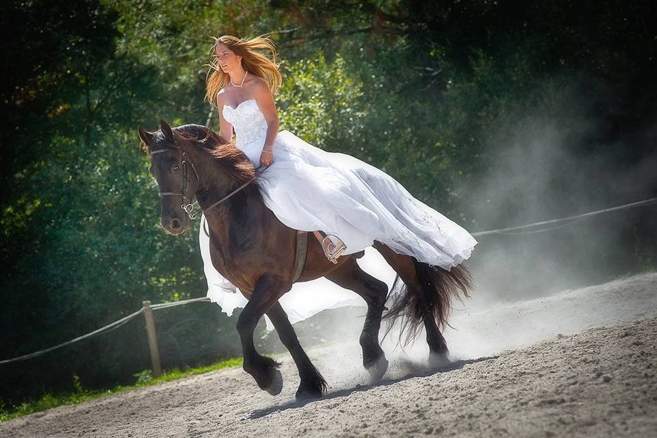 Photographe mariage quimper