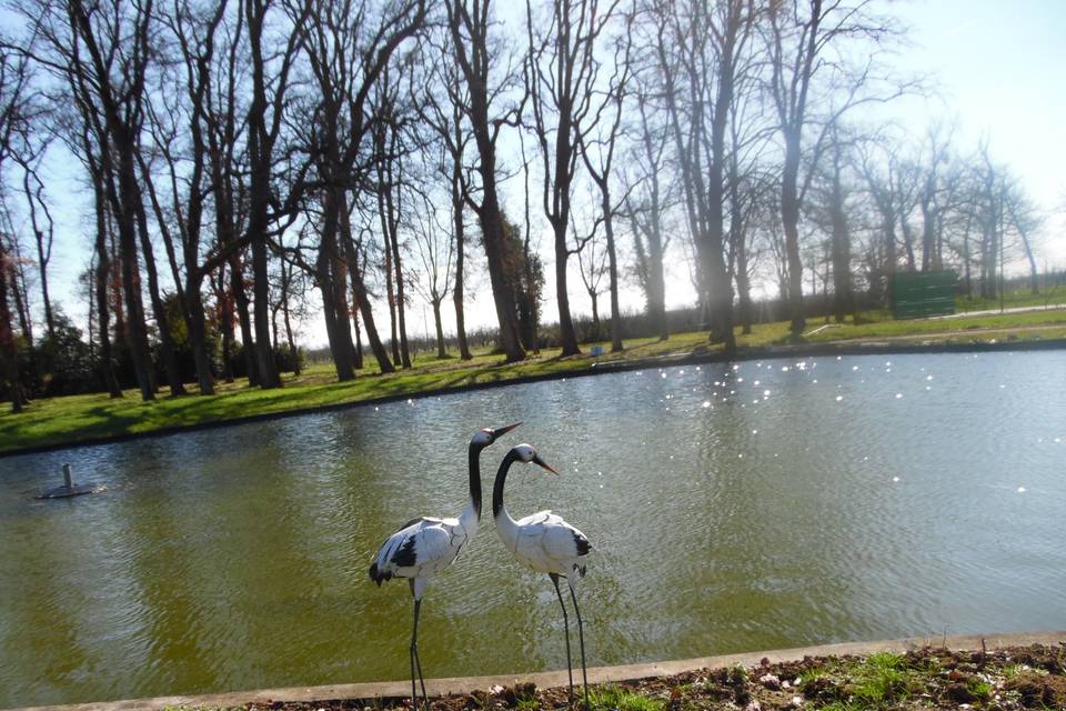 Bord du lac