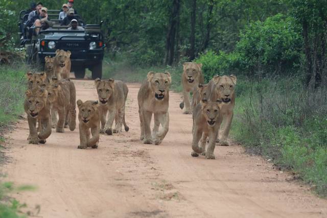 En famille