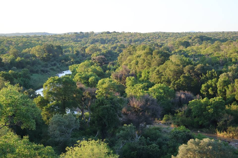 Vue sur la rivière