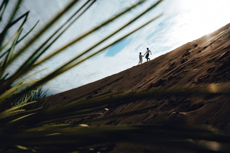 Dune