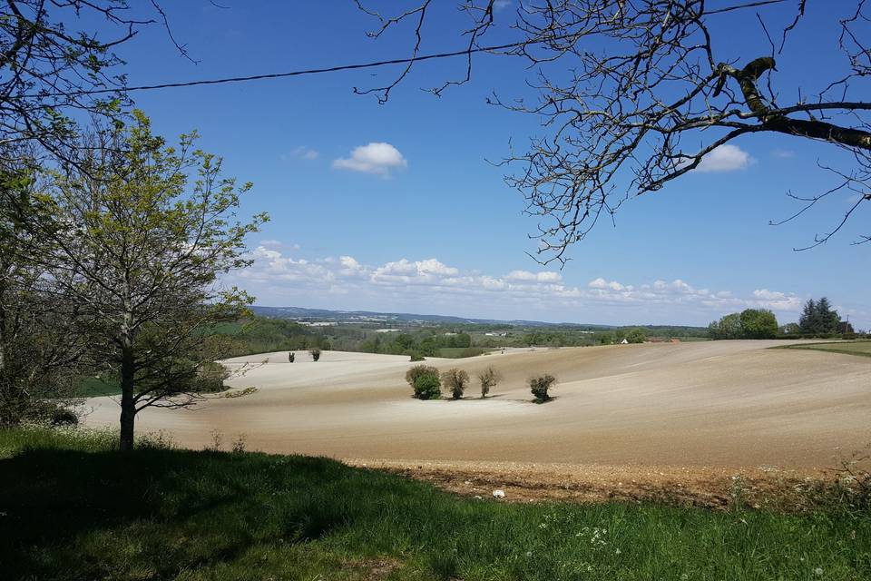 Vue sur la campagne environnan