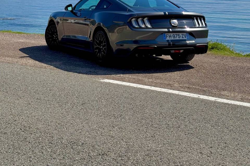 MUSTANG PACA EVENTS