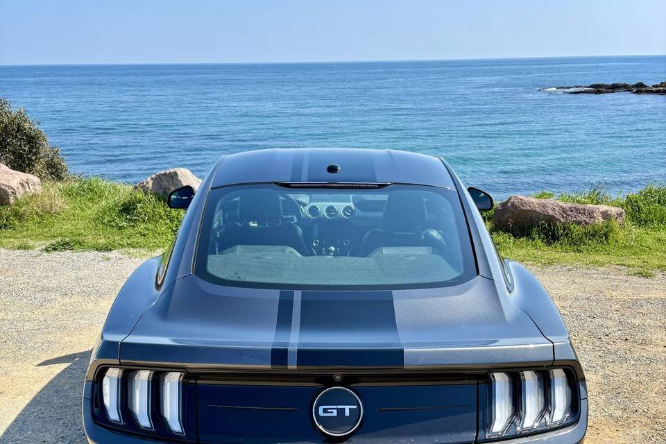 MUSTANG PACA EVENTS