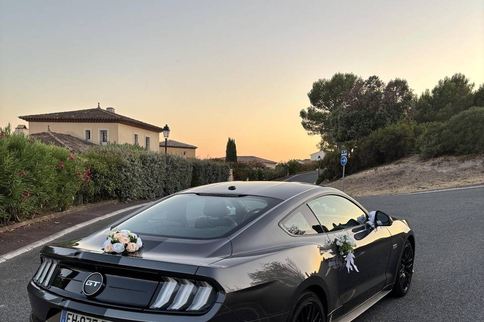 MUSTANG PACA EVENTS