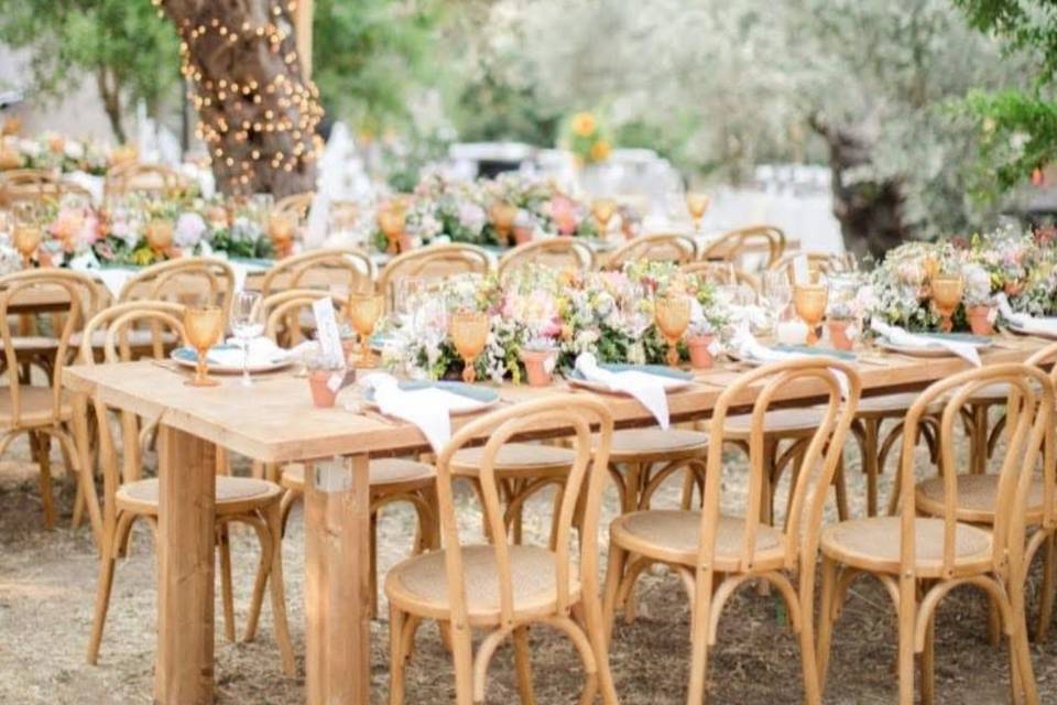 Tiamo Events