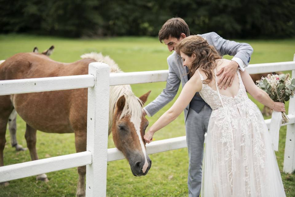 Mariage dans le Perche, Orne