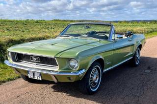 Florian - Mustang
