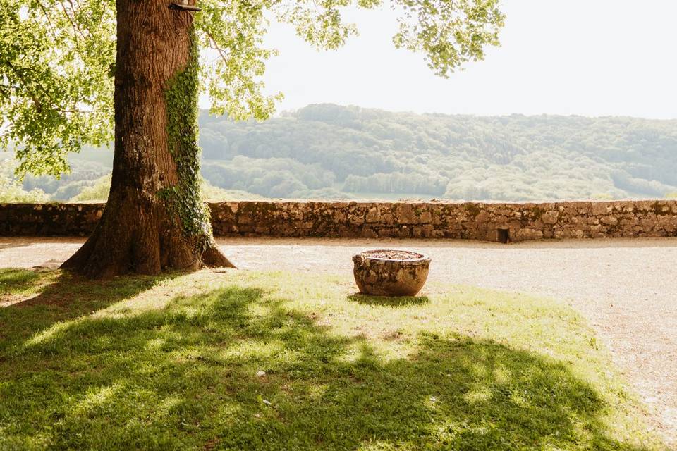 Verdure Chartreuse