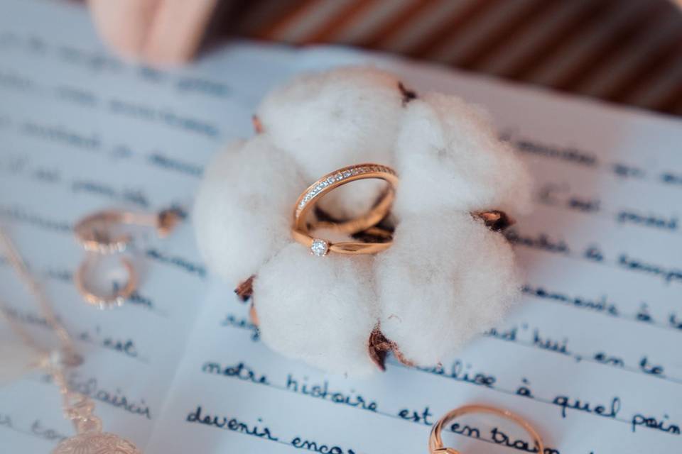 HDAS Records - Mariages