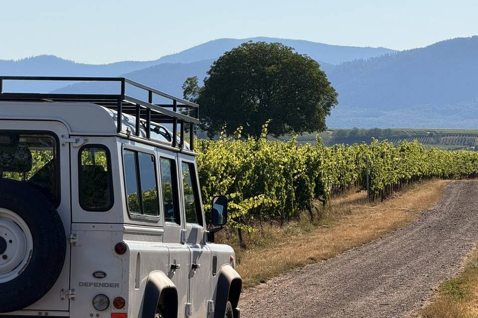 Defender blanc fuji