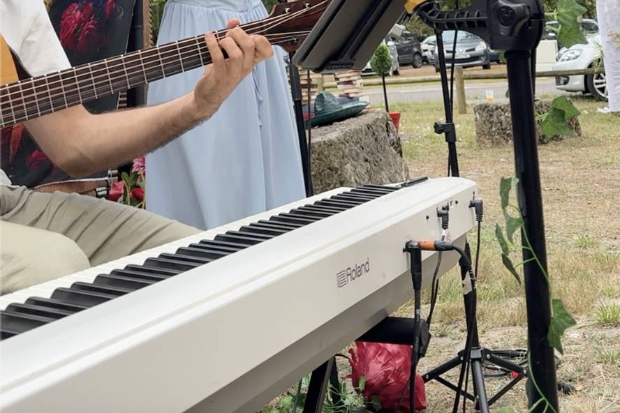 Duo musiciens chanteurs