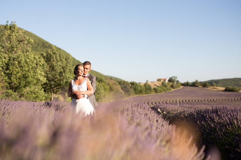 Mariage Lavandes