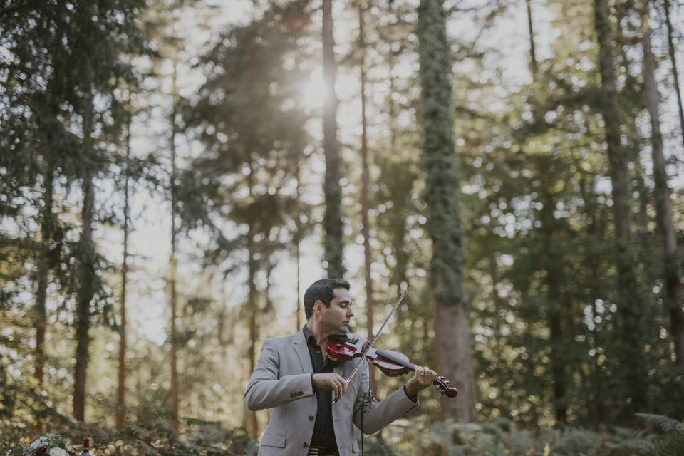 Mariage dans les bois