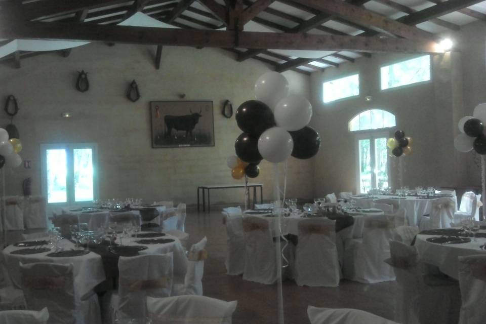 Mariage Mas Manade Camargue