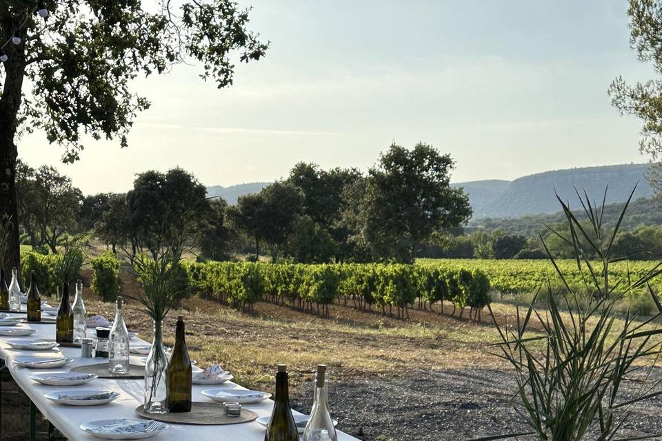 Table éphémère dans les vignes