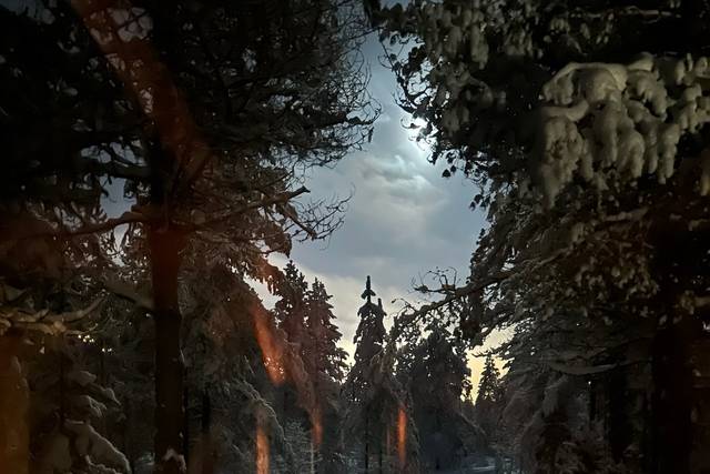 La nuit polaire