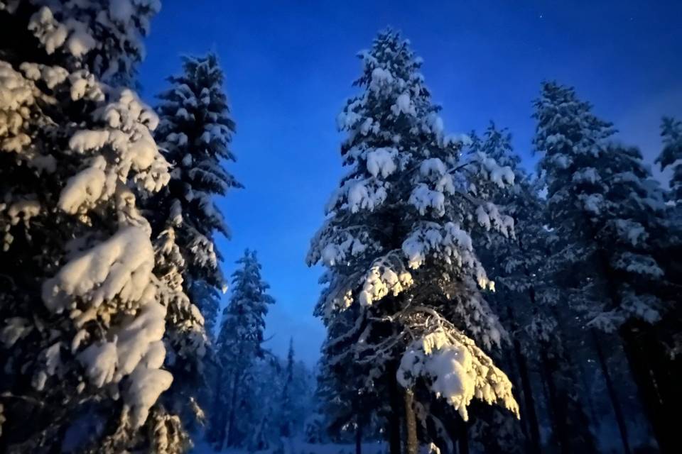 La nuit polaire