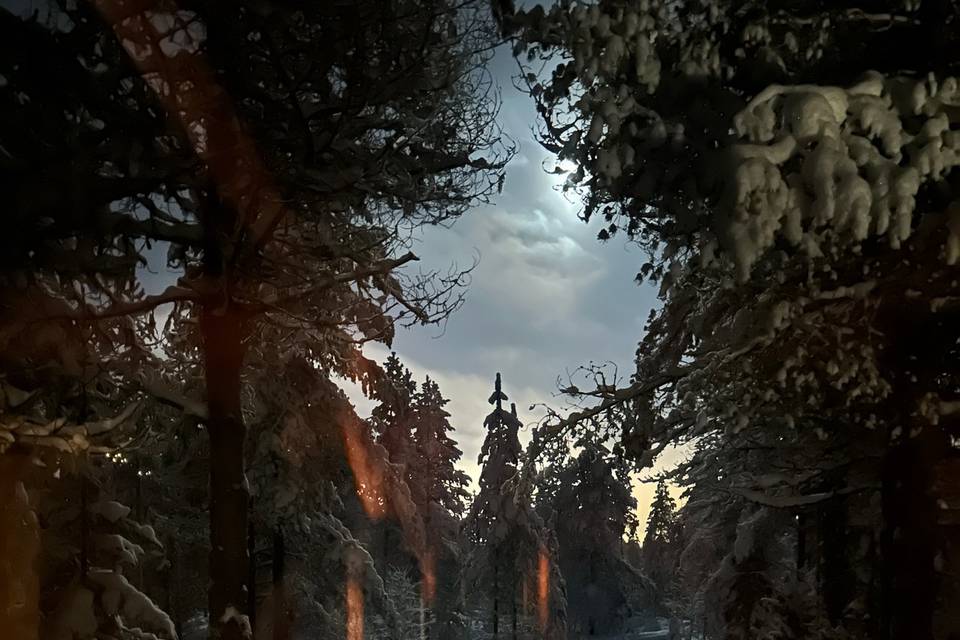 La nuit polaire
