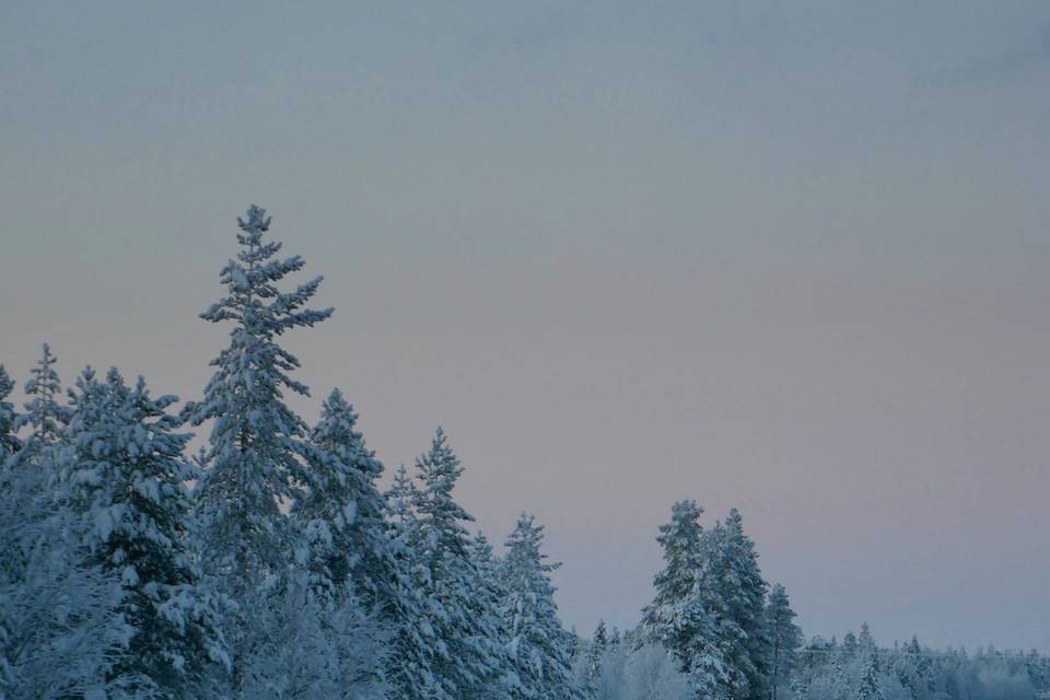 L'hiver en Laponie