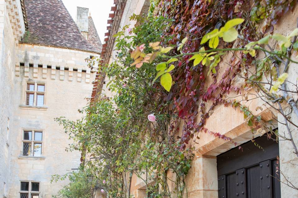 La Cour