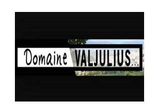 Domaine Vajulius logo