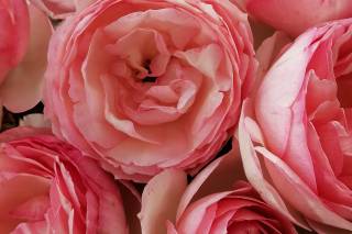 My Beauty Time 1