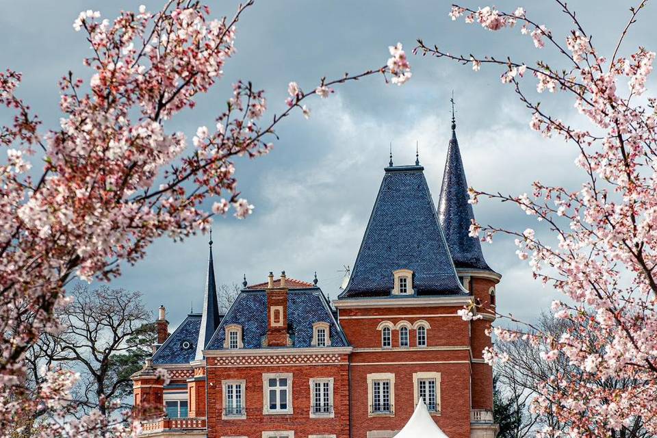 Château avec les cérisiers