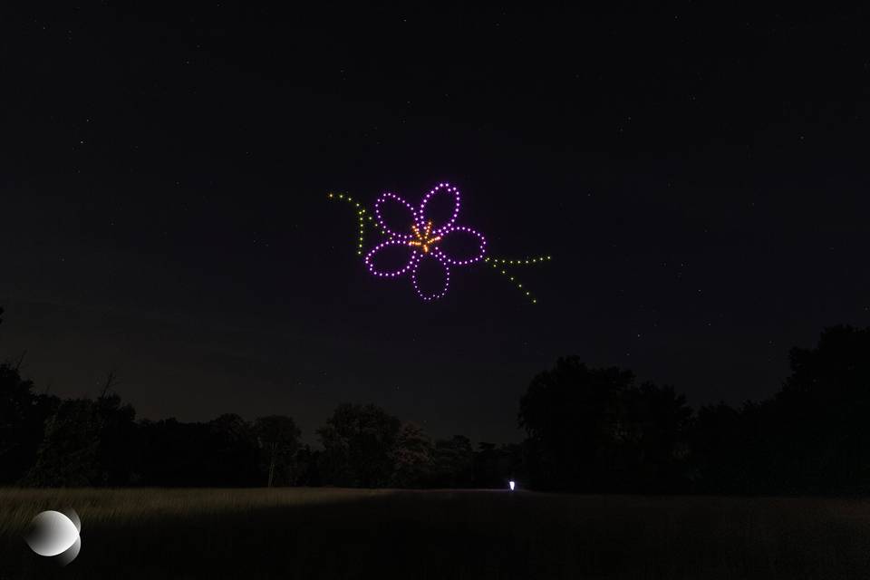 Diffuse Show