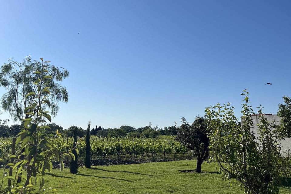 Jardin 2 vue sur vignes