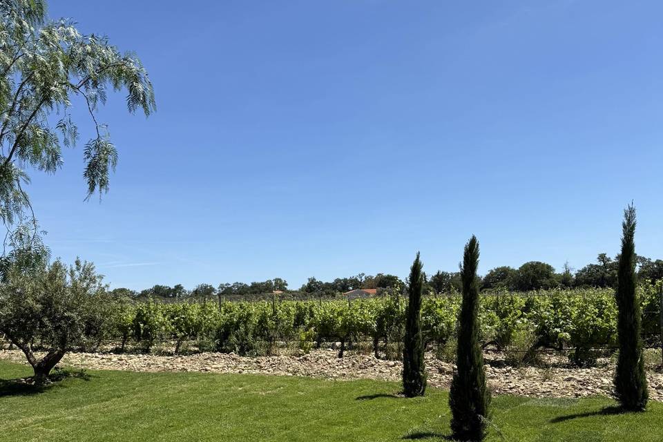 Jardin 2 vue sur vignes