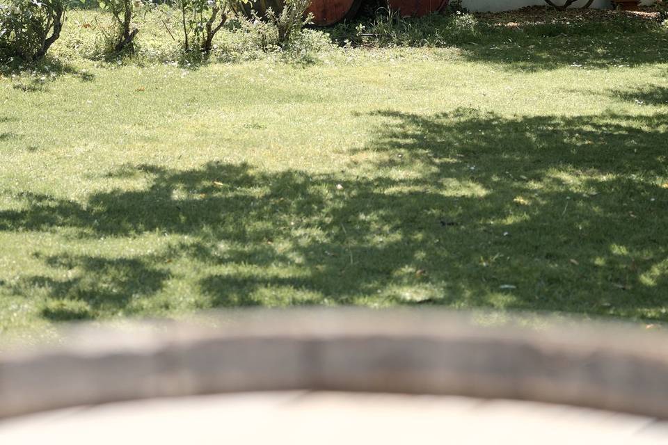 Jardin