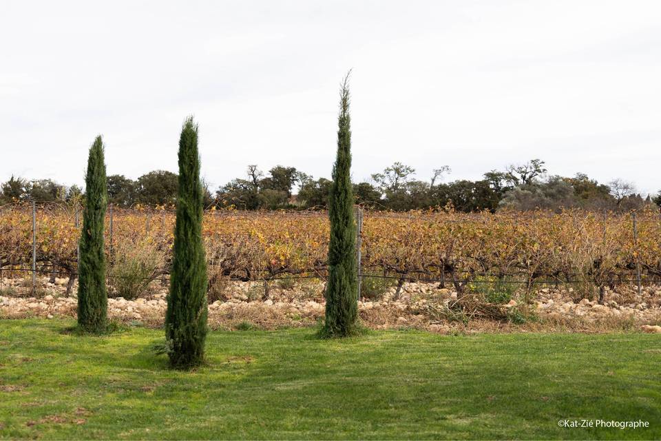 Jardin
