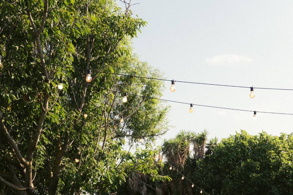 Jardin