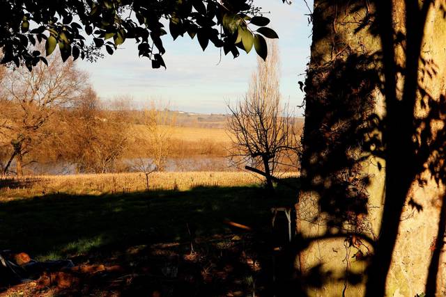 Domaine