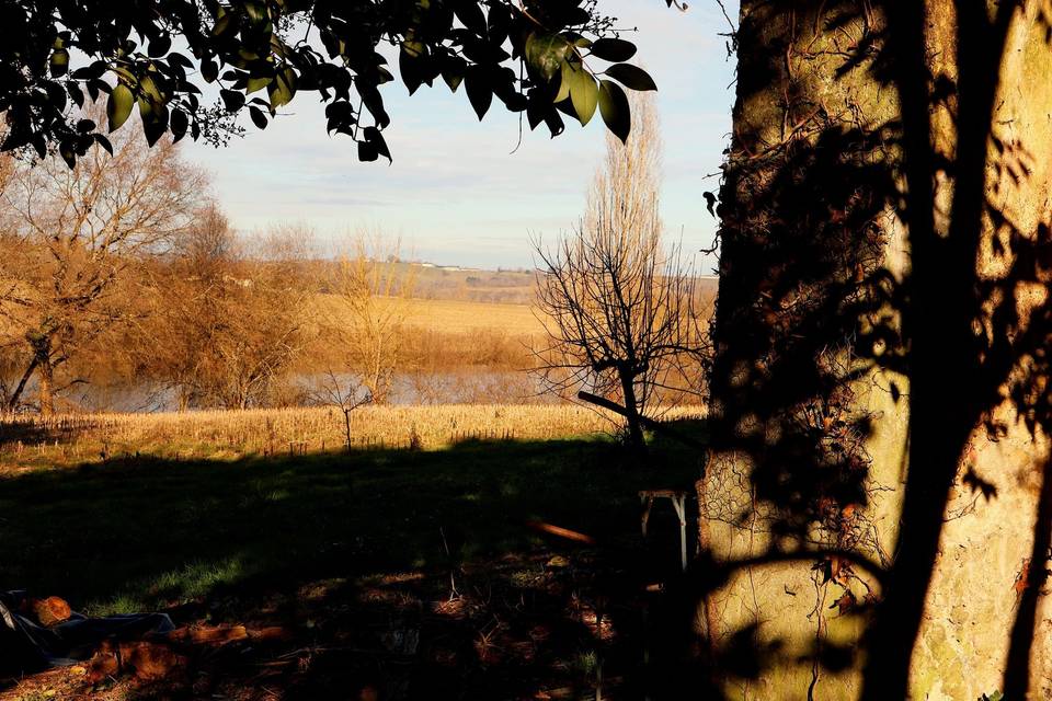 Domaine